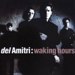 Del Amitri - Waking hours